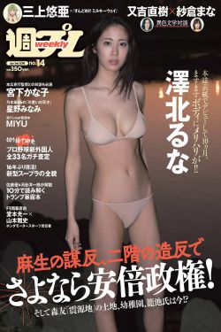无冕之王